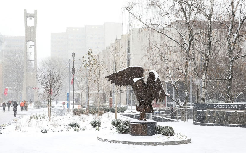 The Founders Garden in snow covered scene